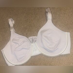 bra size 36d